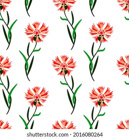 Vector - cornflowers seamless pattern, floral illustration.
