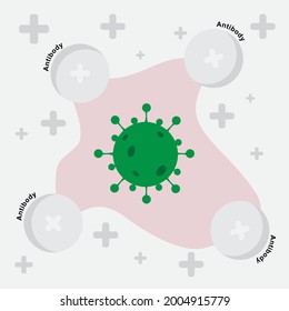 Vector of coronavirus with antibody