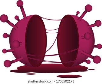 Vector of coronavirus got cut in half