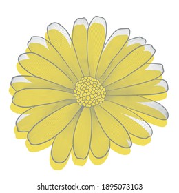 Vector cortular decorative flower. Yellow isolated element on a white background