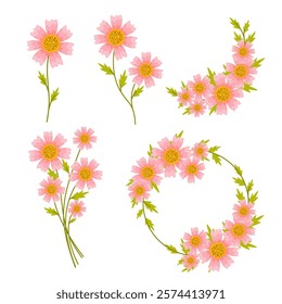 Vector cosmos flower arrangement set. Pink cosmos flower set.