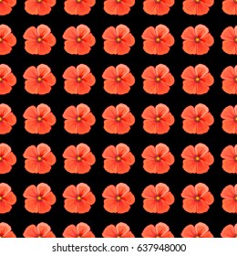 Vector cosmos flower seamless pattern on a black background.