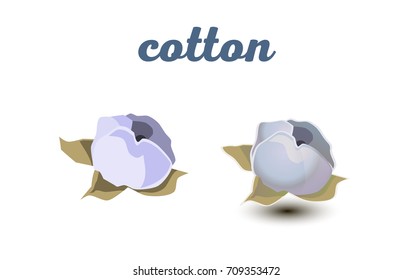 vector cotton