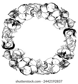 Vector cotton round frame. Cotton seeds and leaves in vintage style with engraving. Drawing in retro engraving style. Illustration for label, wedding invitation.