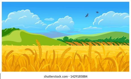 Vector country rural sunny landscape scene with wheat field, green hills and clouds cartoon style