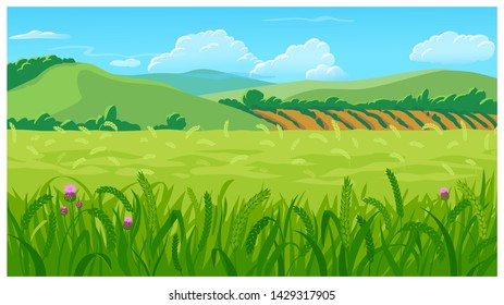 Vector country rural sunny landscape scene with wheat field, green hills and clouds cartoon style 