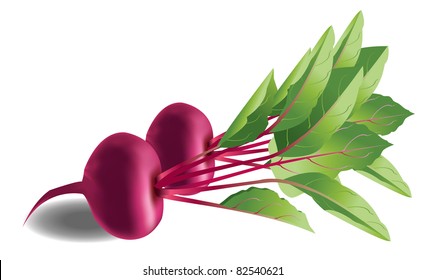 Vector of a couple of beetroots