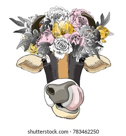 Vector cow with bow and wreath. Hand drawn illustration of dressed cow.