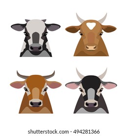 Vector cow, bull, Animals of a farm set. flat cartoon calf head,different suits, face isolated, poster, banner, print, advertisement, web design element. Domestic animals. livestock.