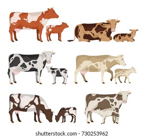 Vector Cow And Calf Collection Isolated On White