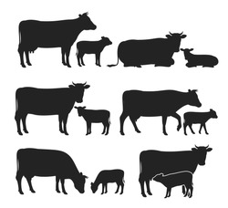 Vector Cow And Calf Silhouettes Isolated On White