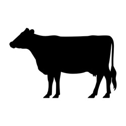 Vector Cow Cartoon Silhouette Icon Illustration Isolated