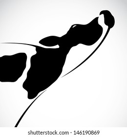 Vector of a cow design on white background. Farm Animals. Easy editable layered vector illustration.