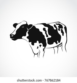 Vector of cow design on white background. Vector illustration. Farm Animals.
