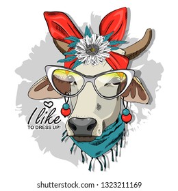 Vector cow with earringsred, red turban, bow, necklace and glasses. Hand drawn illustration of cow. 