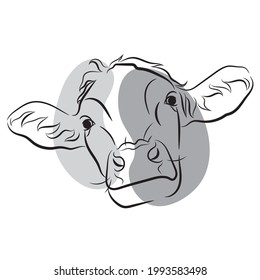 Vector cow face. Line art. Hand drawn.