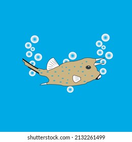 Vector of cow fish with blue background.