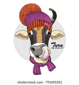 Vector cow with glasses, knitted hat and scarf. Hand drawn illustration of dressed cow.