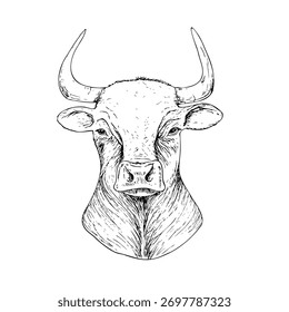 Cabeça de vaca vetorial com chifres. Ilustração de animal de tinta gráfica, isolado no fundo. Esboço de linha desenhado à mão. Para designers, impressões, logotipo, ícone, menu, cartões postais, férias, capas