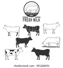 vector cow icon set, cow silhouette, isolated cow, beef sign, farm logo templates, butcher shop and milk label,cuts of beef, butcher cuts scheme and design elements