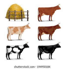 Vector Cow Icons