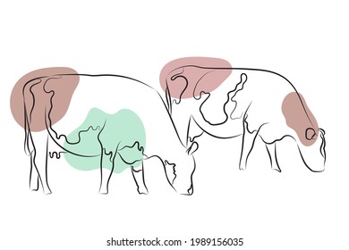 Vector cow illustration in a line art style. Design for prints and backgrounds.