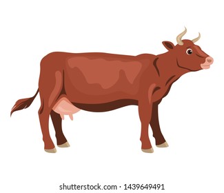 Vector cow isolated on white background. Illustration of farm animal in cartoon simple flat style.