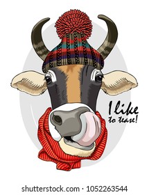 Vector cow with knitted hat and red scarf. Hand drawn illustration of dressed cow.