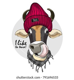 Vector cow with knitted hat and scarf. Hand drawn illustration of dressed cow.