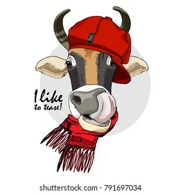 Vector cow with knitted hat and scarf. Hand drawn illustration of dressed cow.