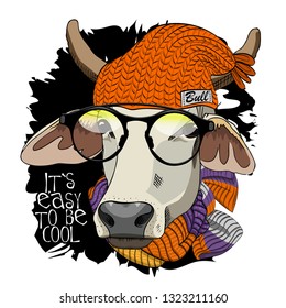 Vector cow with knitted scarf, glasses   and orange hat. Hand drawn illustration of dressed bull. 