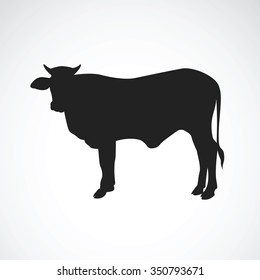 Vector of cow on white background. Vector Cow for your design.