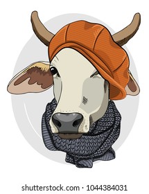 Vector cow with orange cap and scarf. Hand drawn illustration of dressed cow.