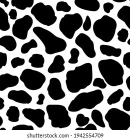 Vector cow pattern seamless background. Black irregular patches on white backdrop. Abstract cows skin texture illustration. Random bovine spots hand drawn design. Farm animal textural all over print