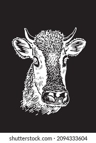Vektor-Kuh-Porträt einzeln auf schwarzer Abbildung, Nutztier
