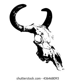 Vector cow skull on white background