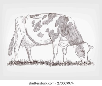 vector cow stand on grase with background