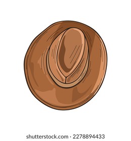 Vector Cowboy Leather Hat isolated white background
