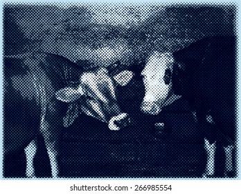 vector cows in dotted raster halftone
