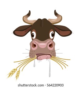 Vector Cow's Head. Cow Chewing Hay