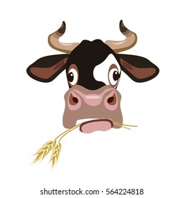 Vector cow's head. Cow chewing hay