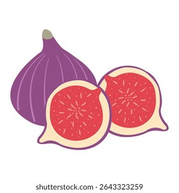 Vector of a cozy autumn full fig and  sliced fig in flat design style. Element for banners, cards, social media