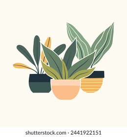Vector cozy illustration of greenery in clay pots in flat style. Home hobby. Composition of house plants in pots