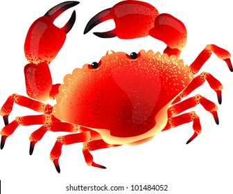 Vector crab