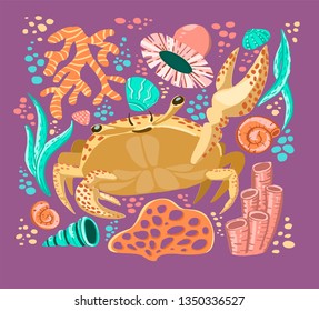 Vector Crab doodle collage for cards, invitation, notebook design, banner, web, wrapping paper, package, clothes. Cute marine life for children. Actinium, coral, shell, bubbles, seaweed