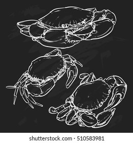 Vector crab drawing on a black background. Hand drawn monochrome seafood illustration. Great for menu, poster or label.