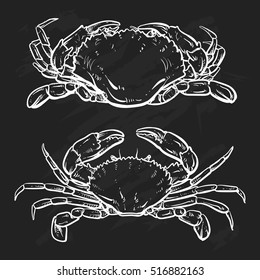 Vector crab drawing on a black background. Hand drawn seafood illustration. Great for menu, poster or label.