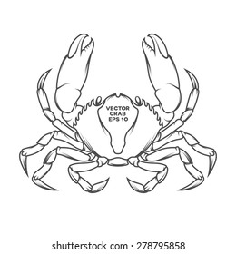 Vector crab illustration in line-art style.