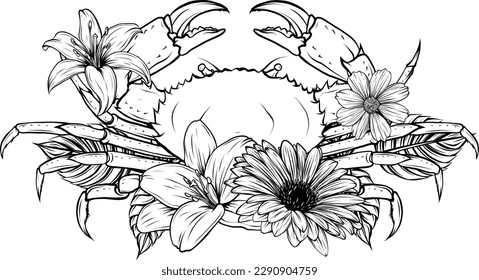 vector Crab isolated underwater animal monochrome sketch.