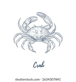 Vector crab line art illustration, graphic line mollusk. sea food. Engraving. Ingredient. Great for menu designs, Ideal for menus, food branding, packaging and summer designs